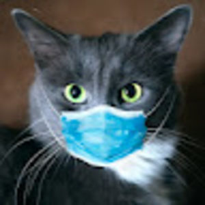 Meet your Posher, Bethanie